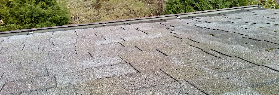 Ned Stevens Gutter Cleaning