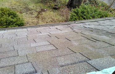 Ned Stevens Gutter Cleaning