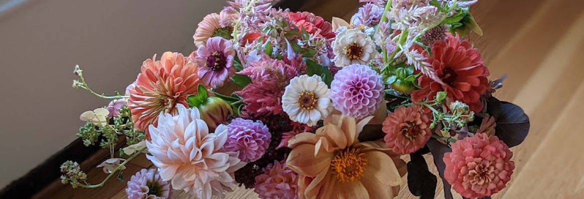 Backyard Blooms