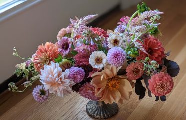 Backyard Blooms