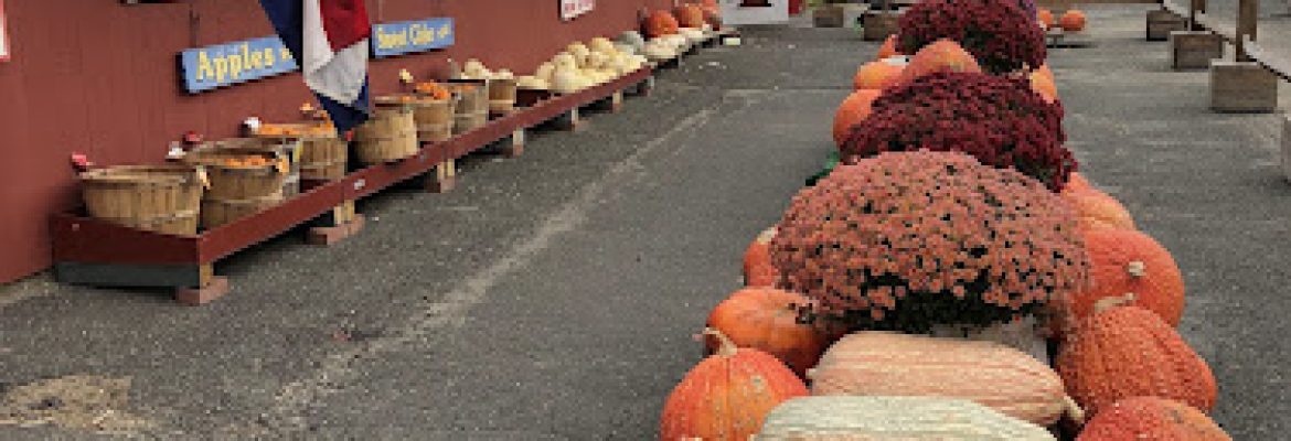 Blue Jay Orchards