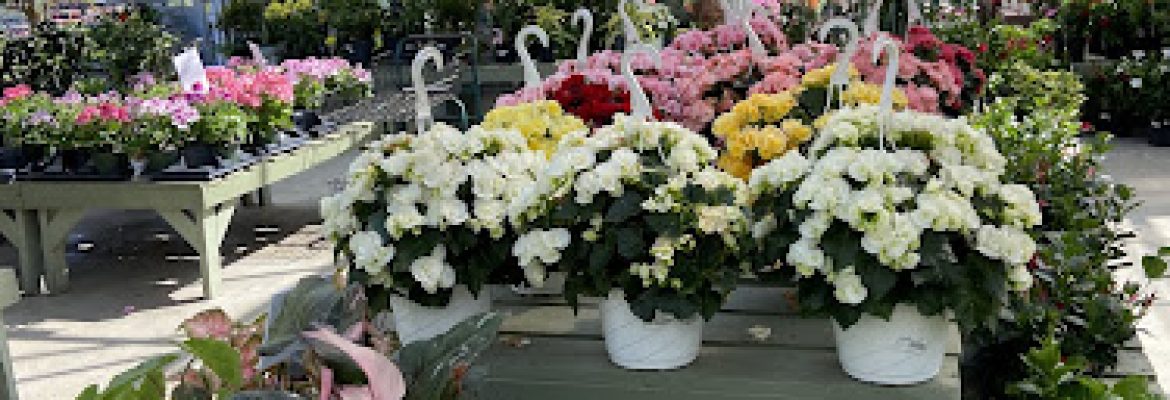 Hart’s Greenhouse & Garden Center