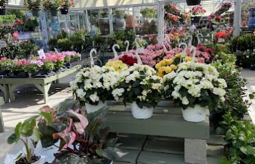 Hart’s Greenhouse & Garden Center