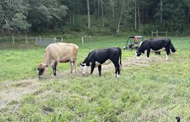 Peaceful Valley Farm