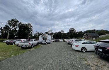 Stappa Vineyard