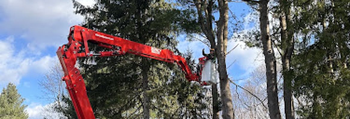 JPS Tree Services LLC