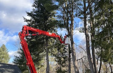 JPS Tree Services LLC