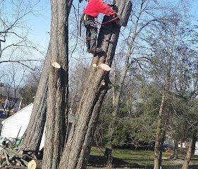Woodchucks Tree Service