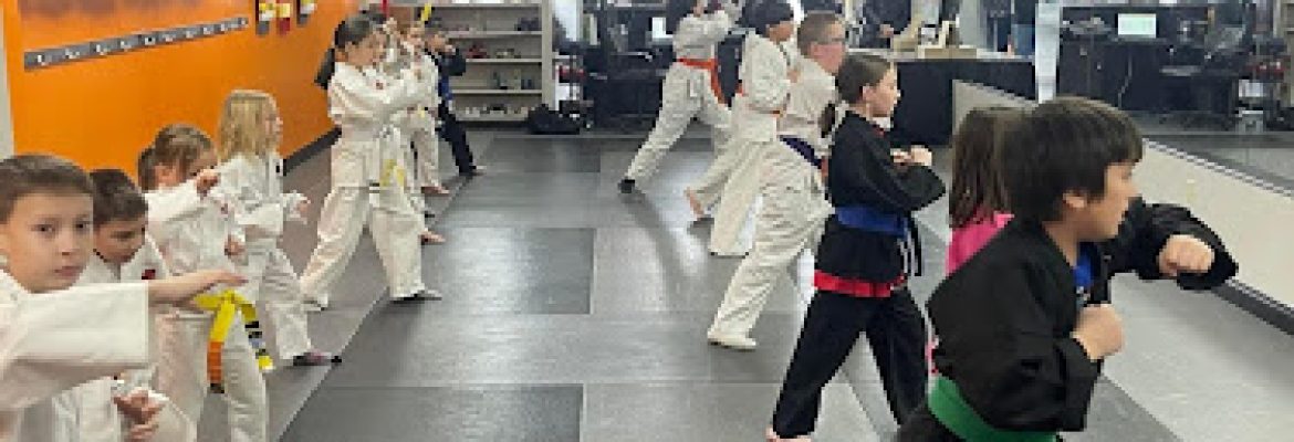 SDSS Martial Arts of Newtown