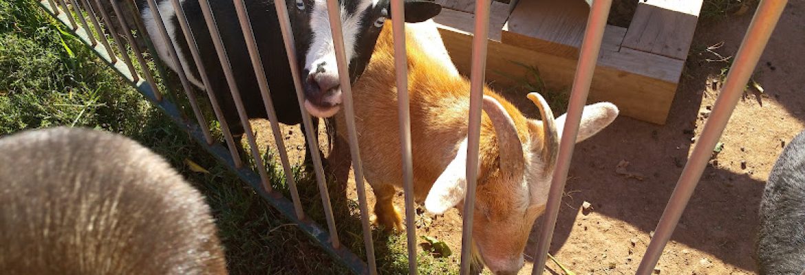Cheshire Hollow Farm
