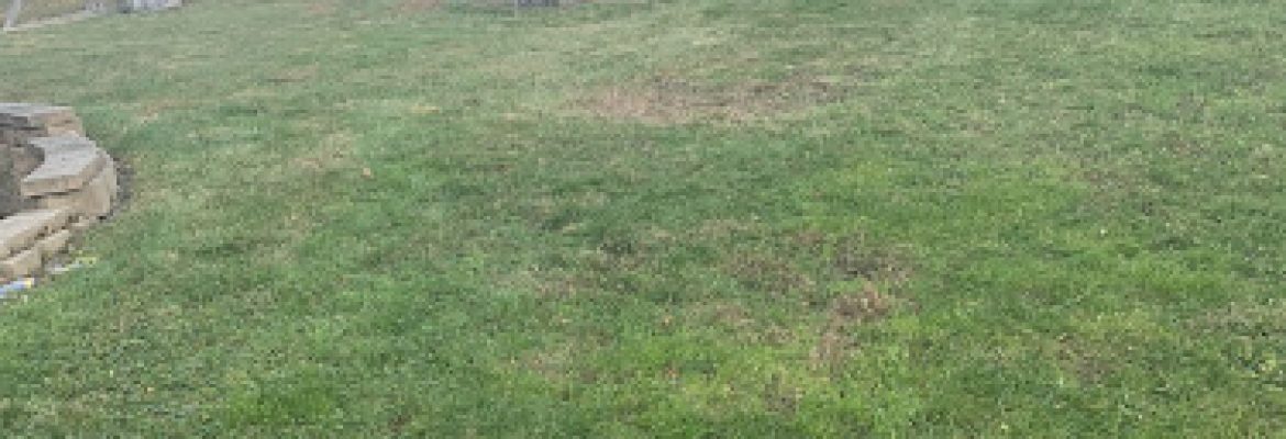 C A Marvin Septic Excavation