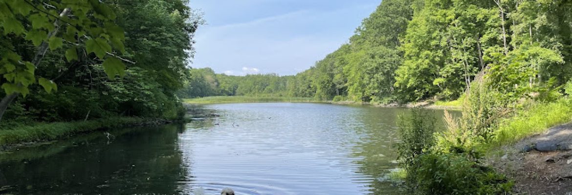 Dividend Pond And Ruins