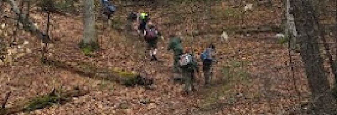 Webb Mountain Campsites 2-7