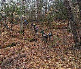 Webb Mountain Campsites 2-7