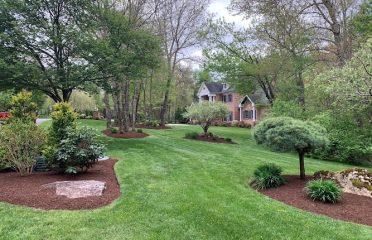 Landscape Advisors LLC