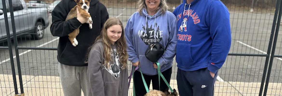 SAVE ALL DOGS RESCUE 501C3 non profit