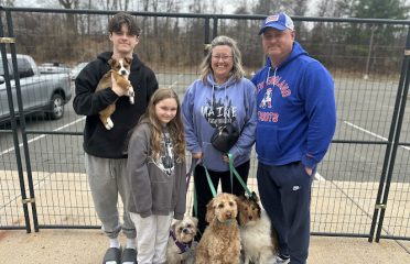 SAVE ALL DOGS RESCUE 501C3 non profit