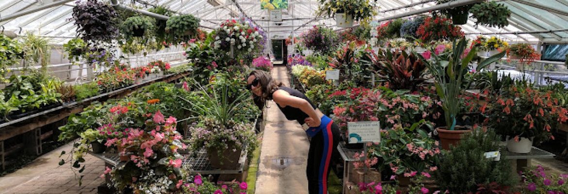 Bell Nurseries Inc
