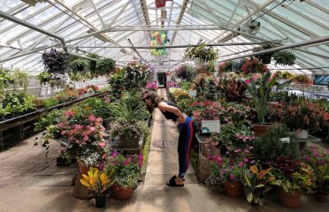 Bell Nurseries Inc