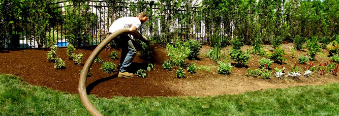 Thompson Landscape Improvement, Inc.