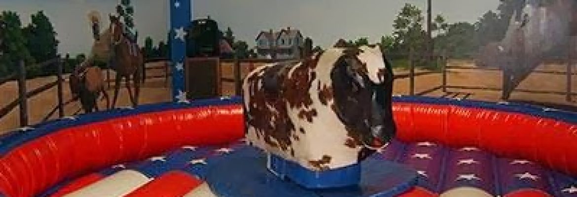 Funtastic Inflatables