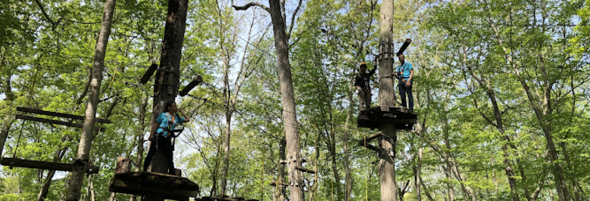 TreeTrails Adventures Mystic