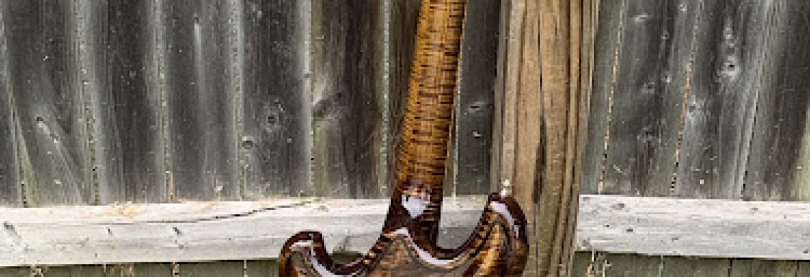 DGN Custom Guitars