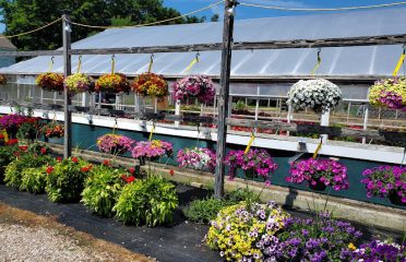 Tower Farms of Canton