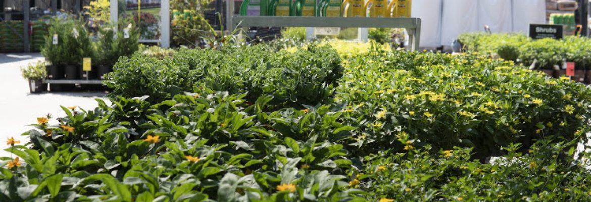 Garden Center at The Home Depot