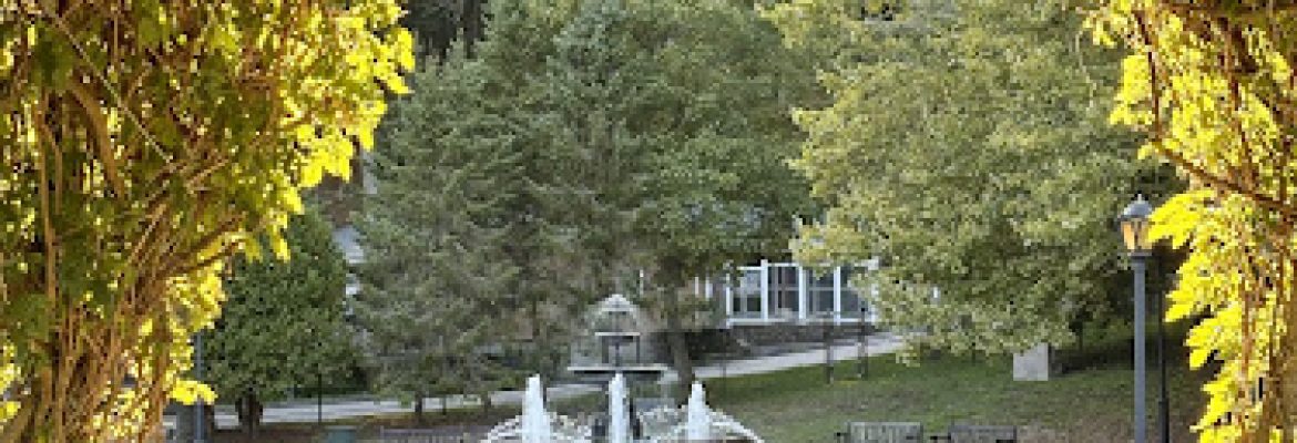 Mohegan Park – Upper Lot