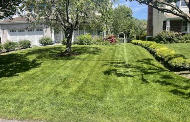 J&J LawnCare LLC