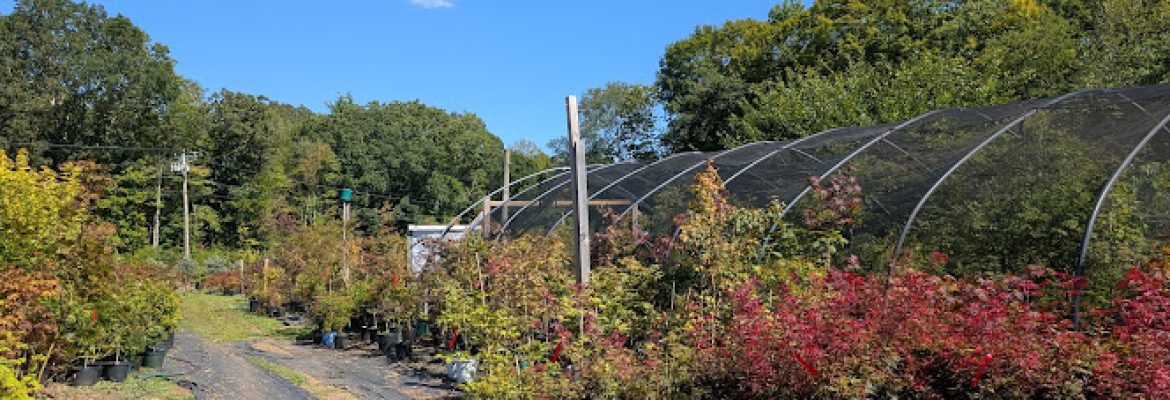 Tolland Garden
