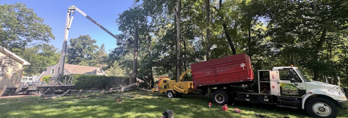 E&S tree Services and landscaping LLC