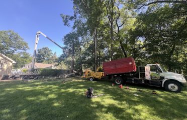 E&S tree Services and landscaping LLC