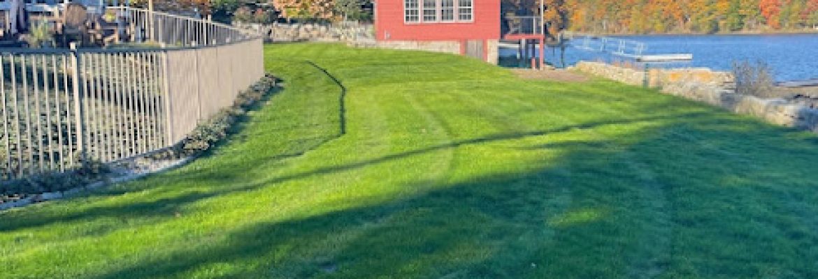 GreenTurf