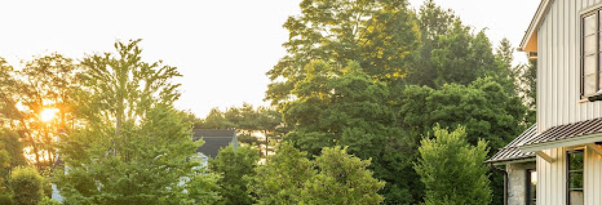 Brook Clark Landscape Architects