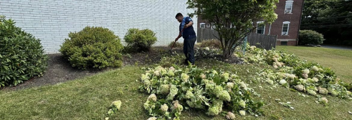 GBA Landscaping LLC