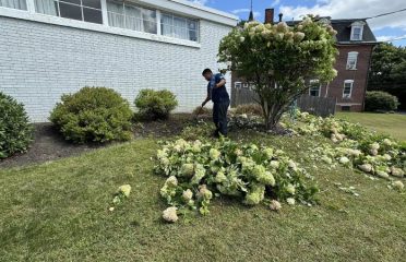 GBA Landscaping LLC