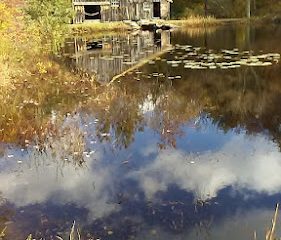 Sawmill Park