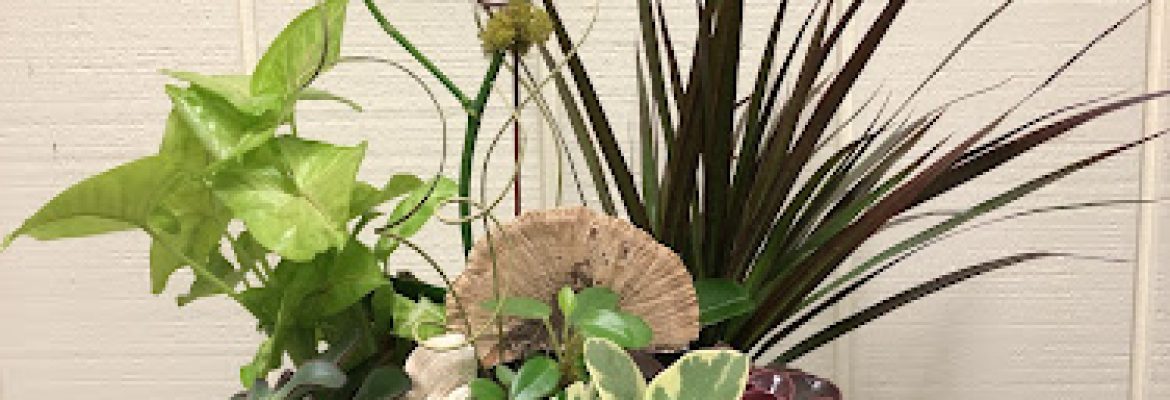 Blossoms at Dailey’s Flower Shop