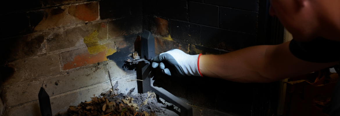 West-Shore Chimney Sweep Pros