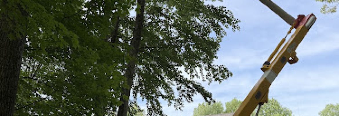 Red Oak Tree Service LLC.