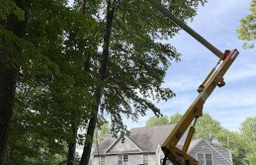 Red Oak Tree Service LLC.