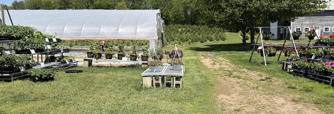 Syme Family Farm