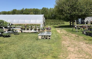 Syme Family Farm