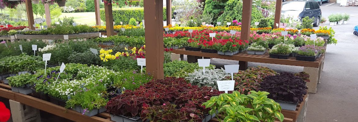 Reynolds Farms Nursery and Country Garden Center