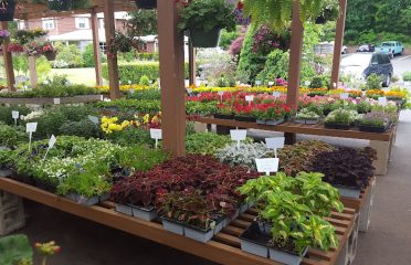 Reynolds Farms Nursery and Country Garden Center