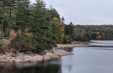 Nepaug State Forest