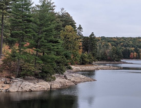 Nepaug State Forest
