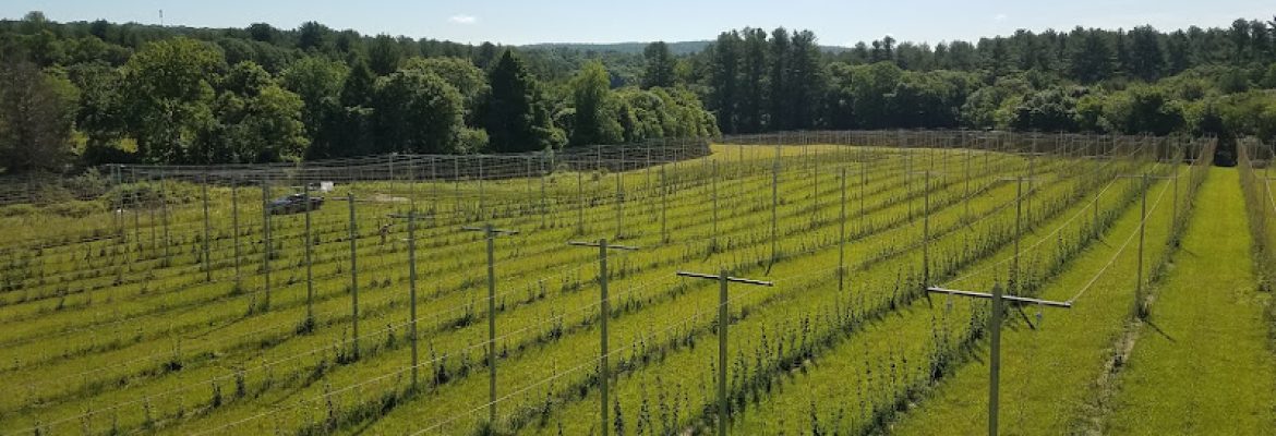 Quiet Corner Hop Farm LLC